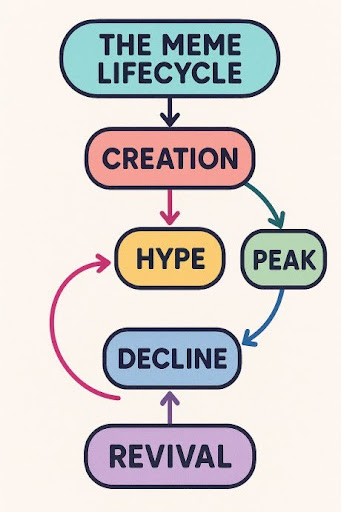 Meme lifecycle